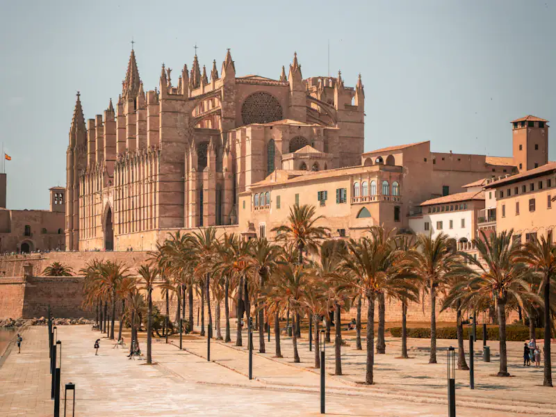 La cathédrale de Palma derrière les palmiers