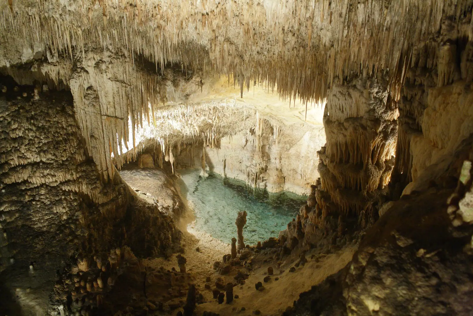 Salle des grottes du Drach, plafond hérissé de stalactites au-dessus d'un bassin d'eau turquoise