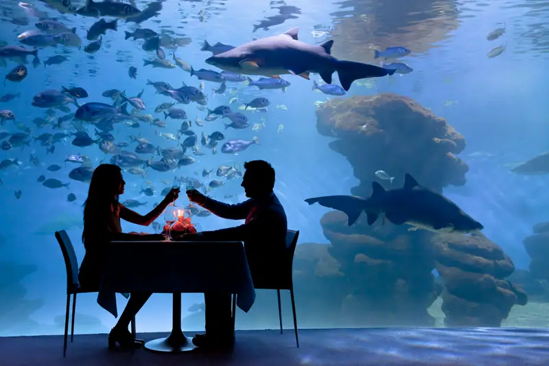 Aquarium de Palma de Majorque : billets, durée de visite et avis