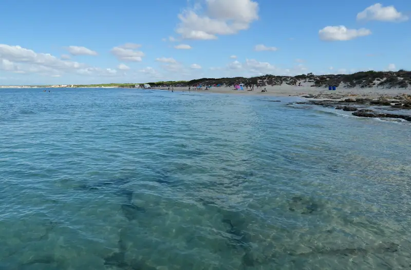 Plage d’Es Trenc : parking, accès et conseils pour éviter la foule