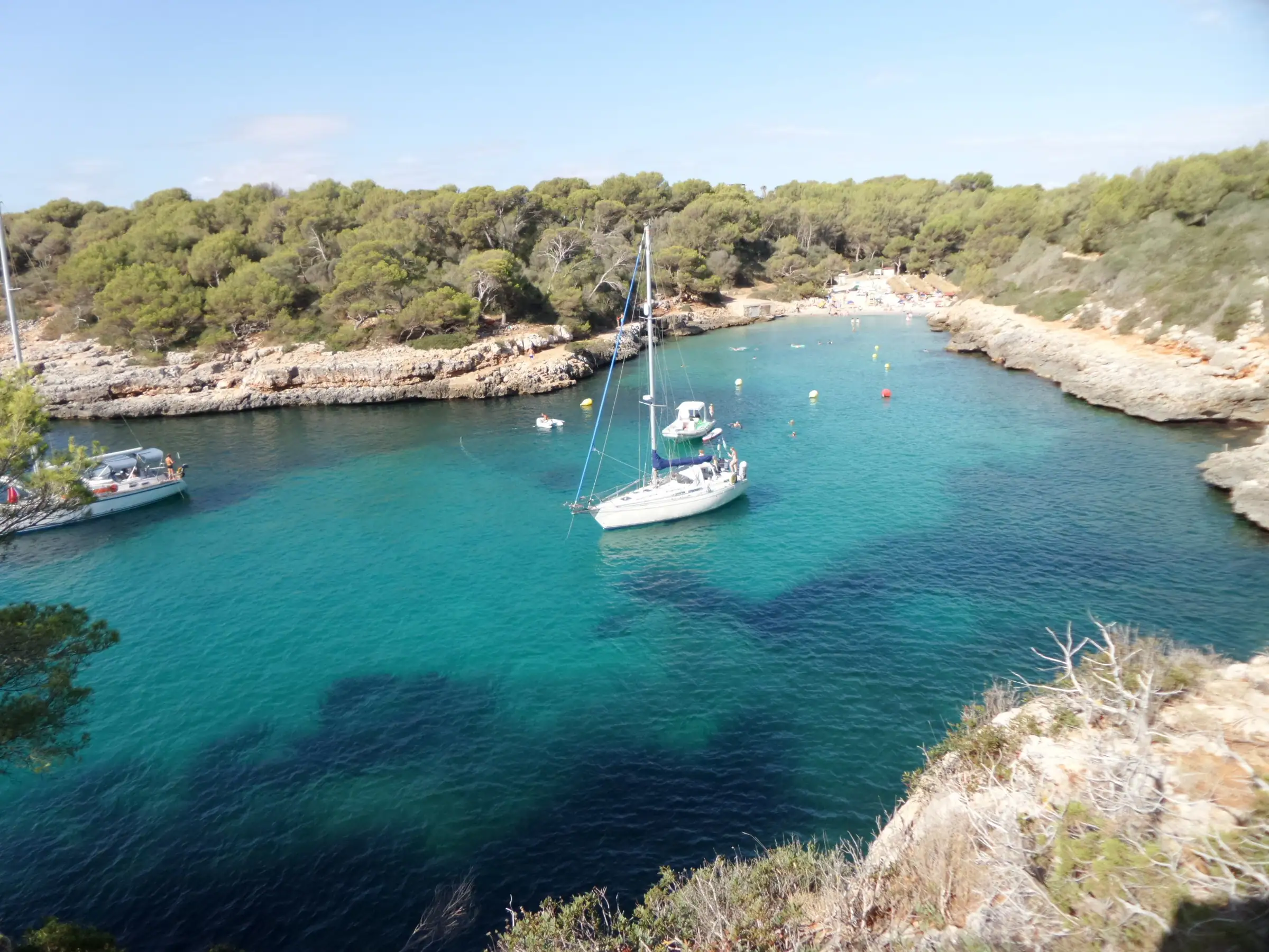 Voilier au mouillage dans l'eau turquoise de Cala sa Nau, crique bordée de pins
