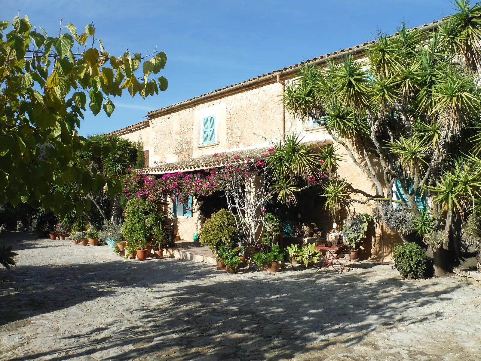 La façade fleurie d'une finca majorquine transformée en hébergement