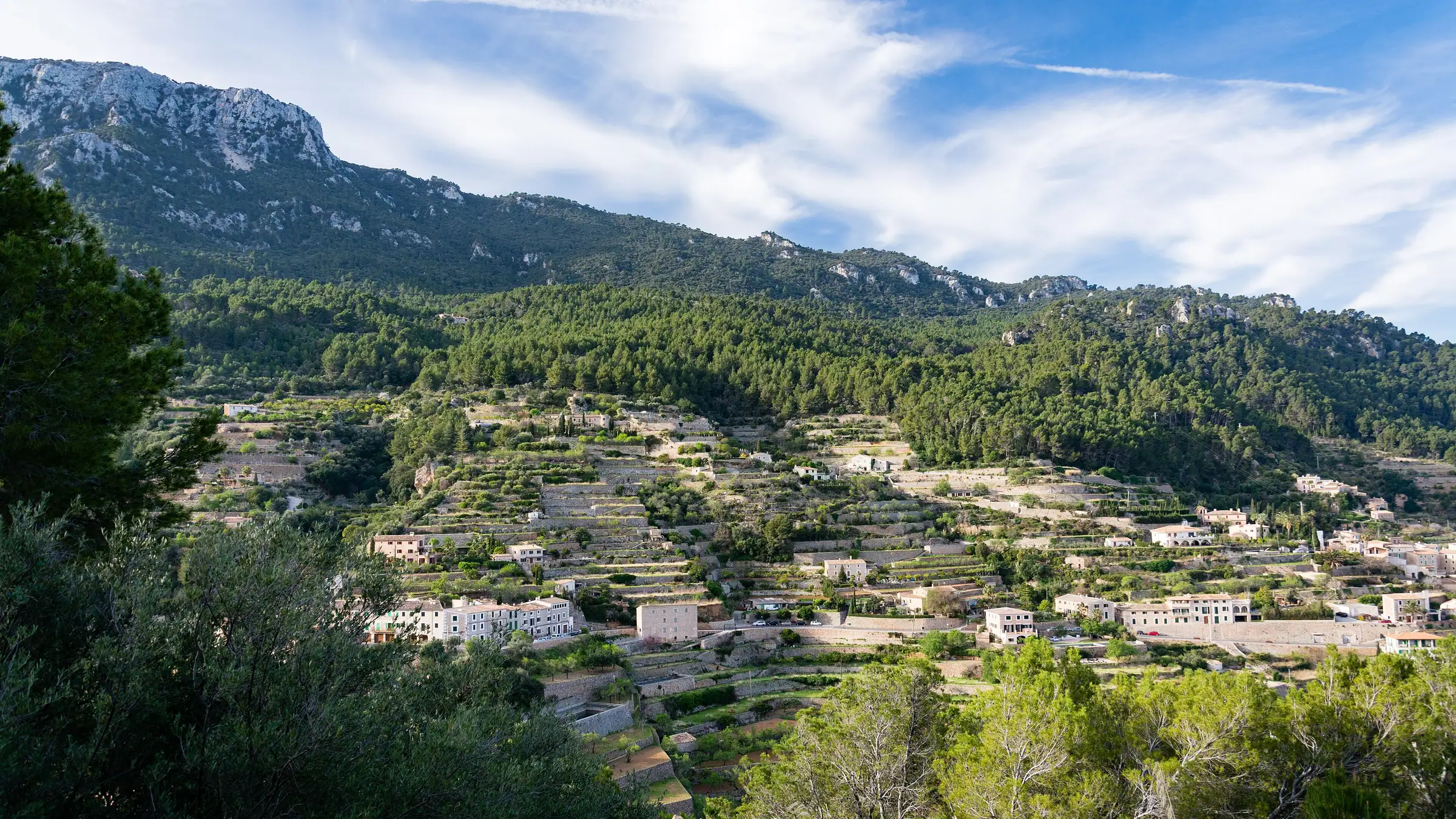 Les terrasses cultivées de Banyalbufar sous les crêtes de la Tramuntana