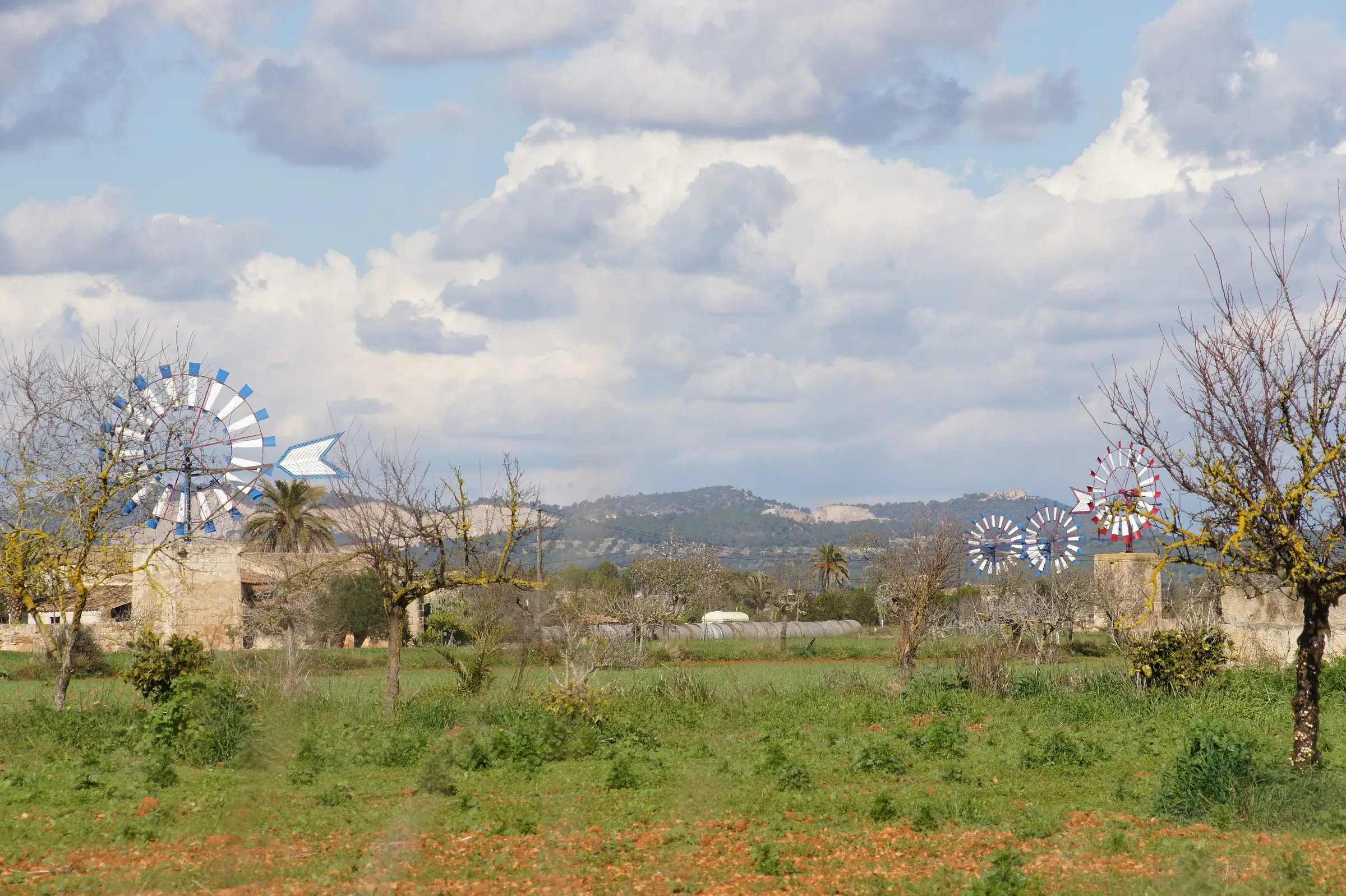 Les moulins à vent de la campagne de Campos