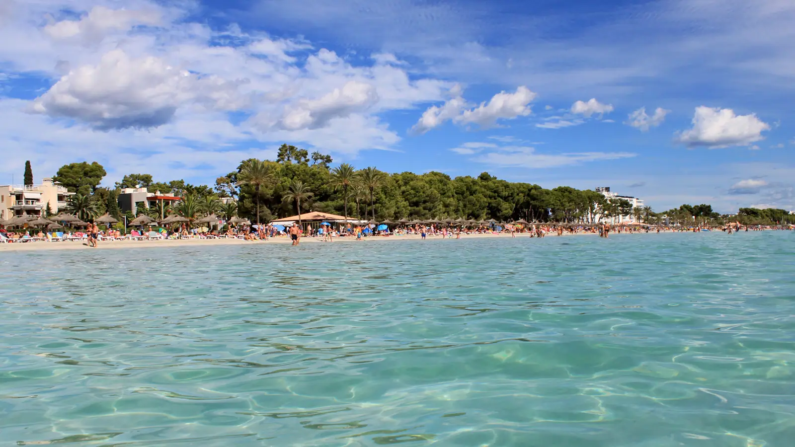 Eau turquoise et pins au bord de la baie d’Alcúdia