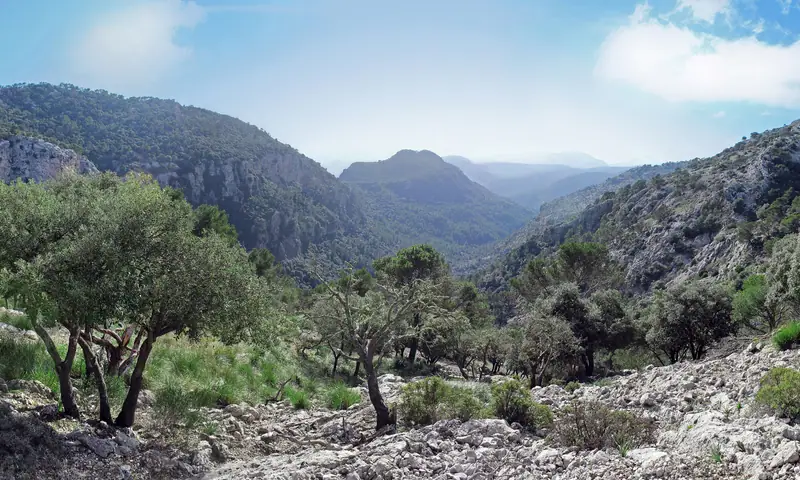 Mallorca Sehenswürdigkeiten: Highlights, Tickets und Ausflüge