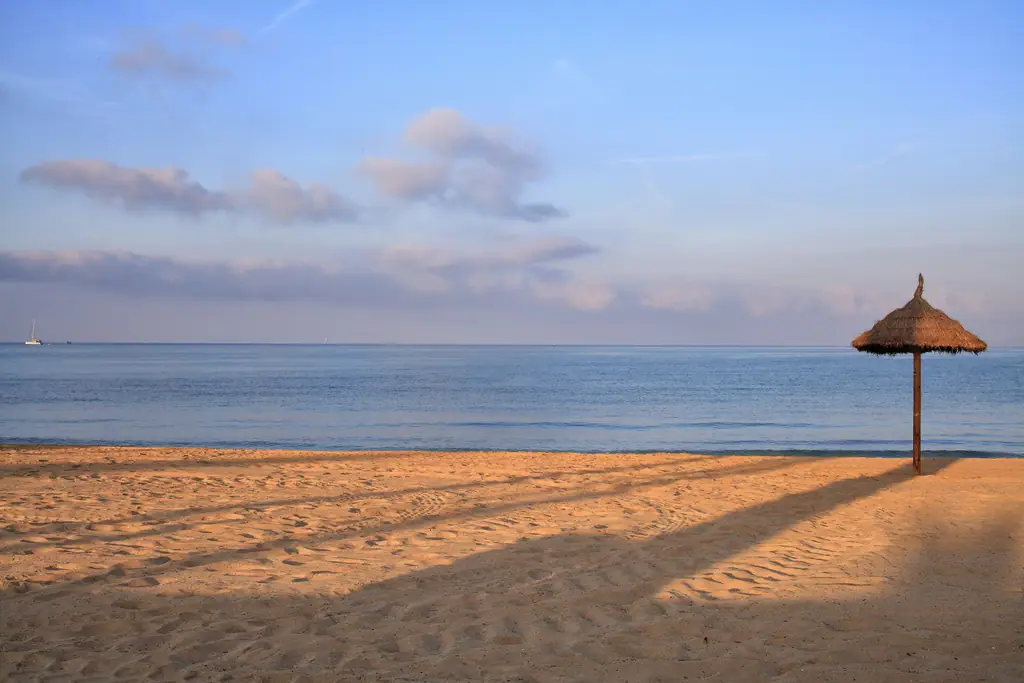 Playa de Palma