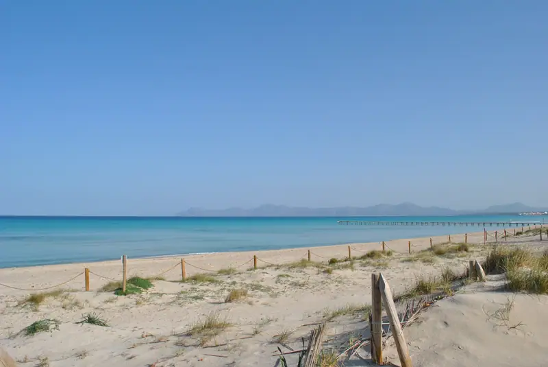 Dunes, sable blanc et eau turquoise de Playa de Muro, la baie d'Alcúdia au loin