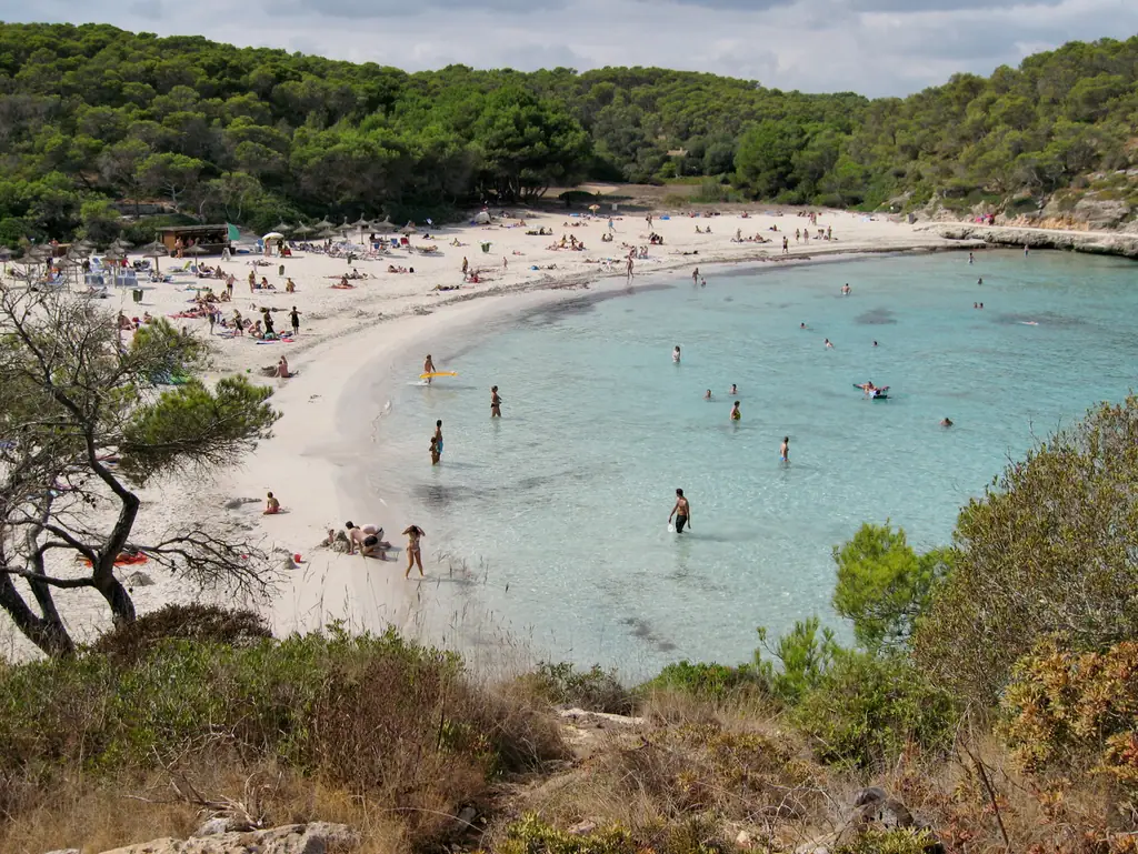 La crique de S'Amarador et son eau turquoise, encadrée de pins
