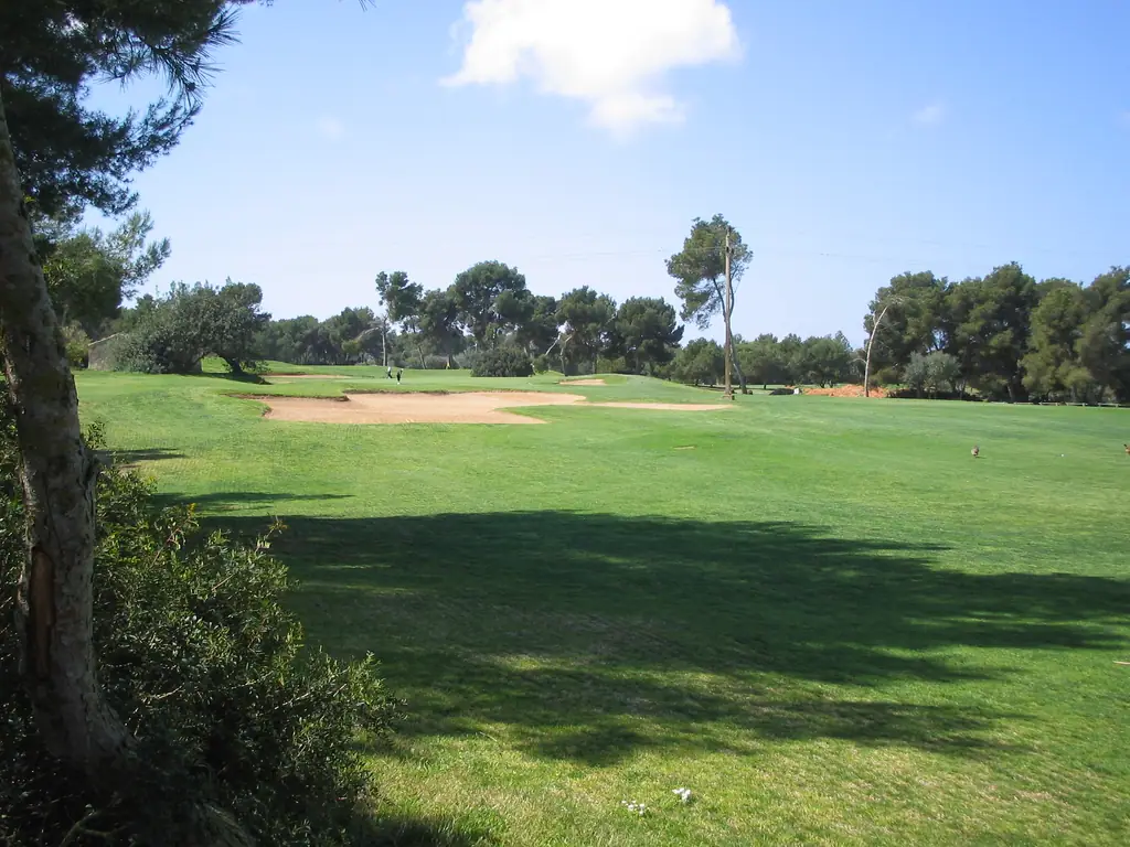 Fairway et bunker bordés de pins sur un parcours de golf de Calvià