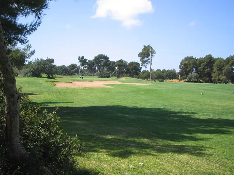 Fairway et bunker bordés de pins sur un parcours de golf de Calvià