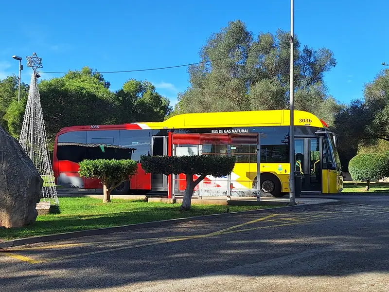 Un bus TIB rouge et jaune à un arrêt bordé d'arbres