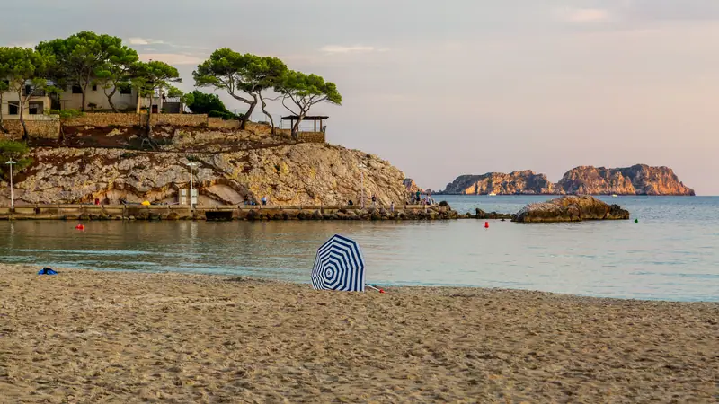 Une plage de Peguera au soir, mer calme et pins sur la pointe rocheuse
