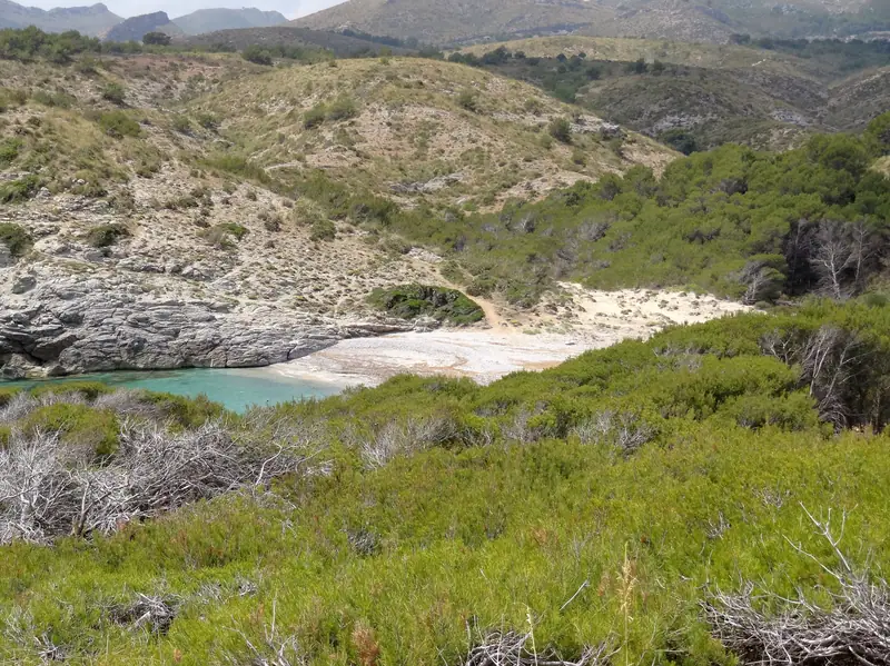 Cala Matzoc, plage de sable et galets au fond d’un vallon de garrigue