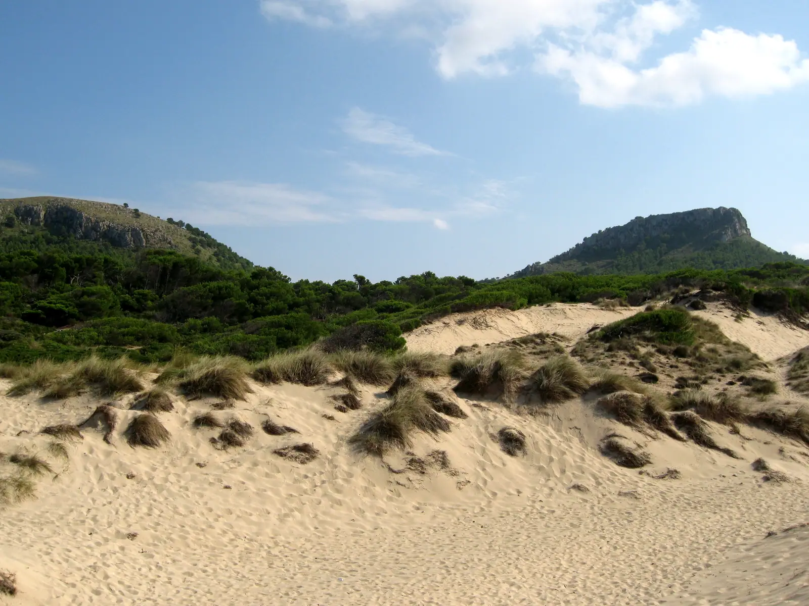 Les dunes de Cala Mesquida et les collines boisées de la péninsule de Llevant