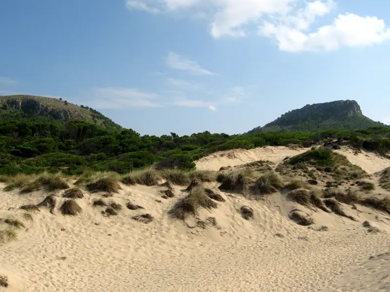 Les dunes de Cala Mesquida et les collines boisées de la péninsule de Llevant