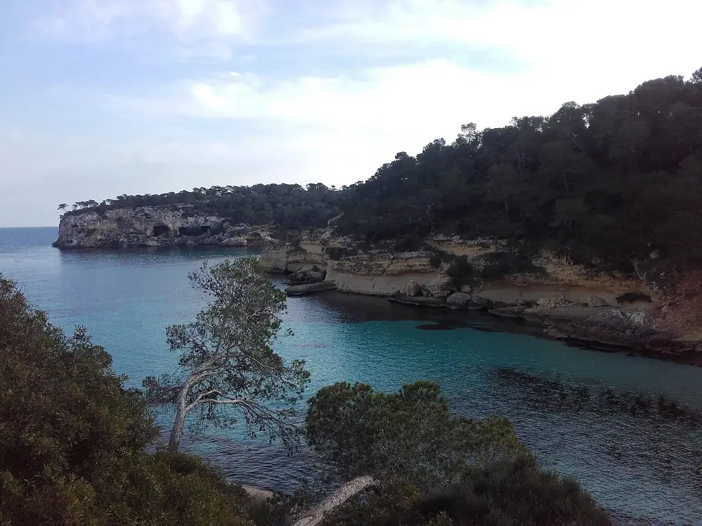 La plage d’El Mago et la crique de Portals Vells entre falaises et pinède