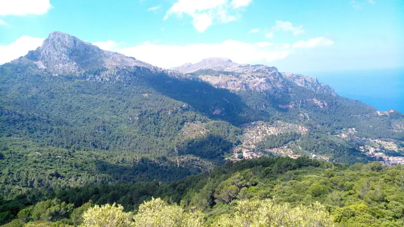 La vallée d'Estellencs et le puig de Galatzó, couverts de pins