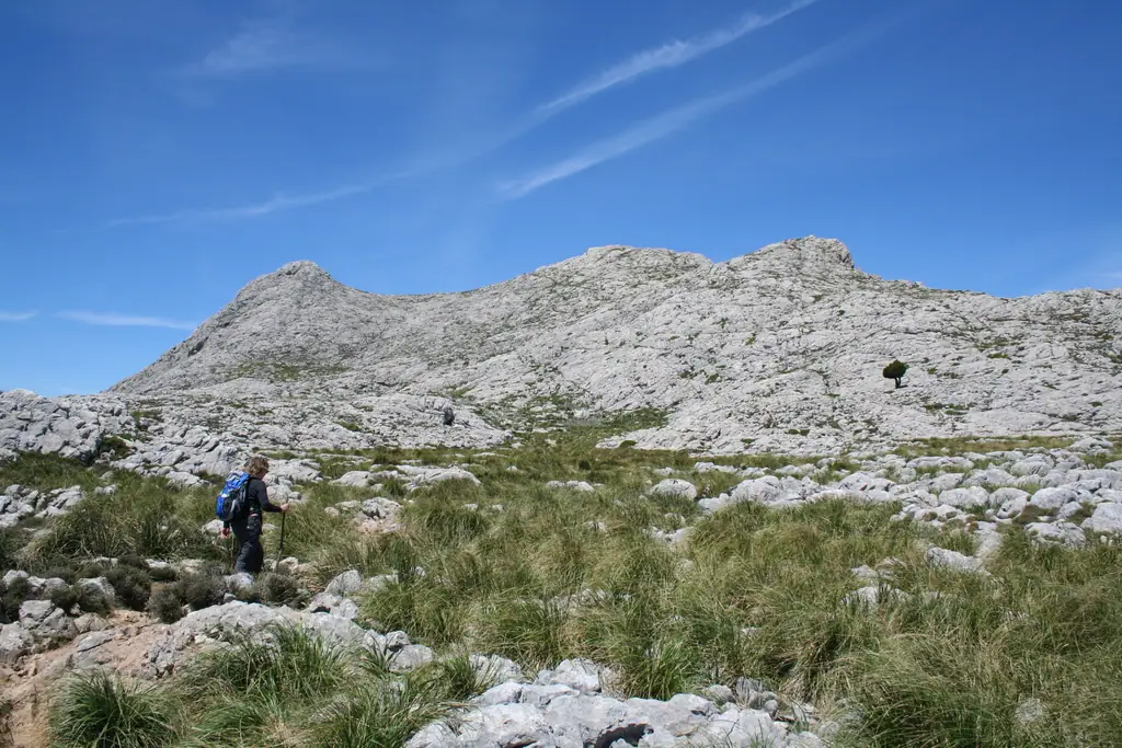 Un randonneur sur les pentes rocheuses du puig de Massanella