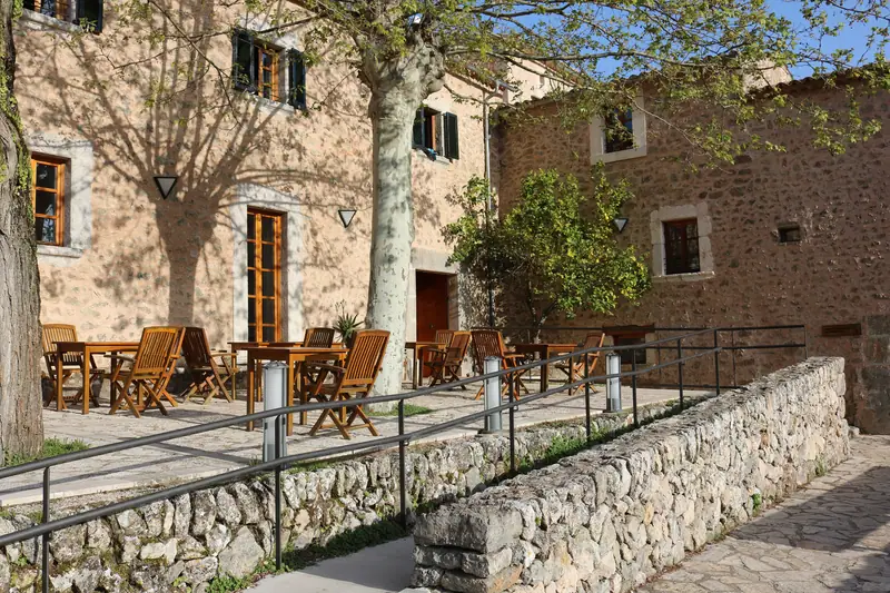 La terrasse du refuge de Son Amer, près de Lluc, à l'ombre des platanes