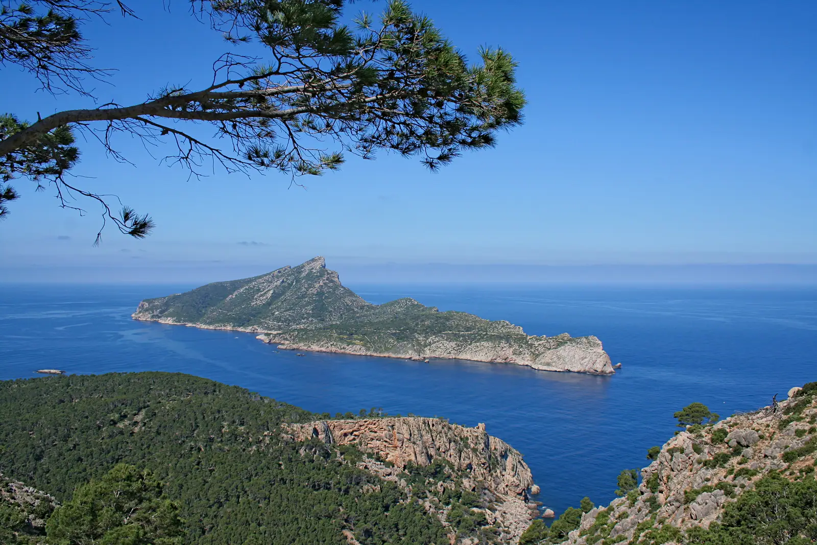 L'île de sa Dragonera vue depuis la côte de Majorque, entre les pins