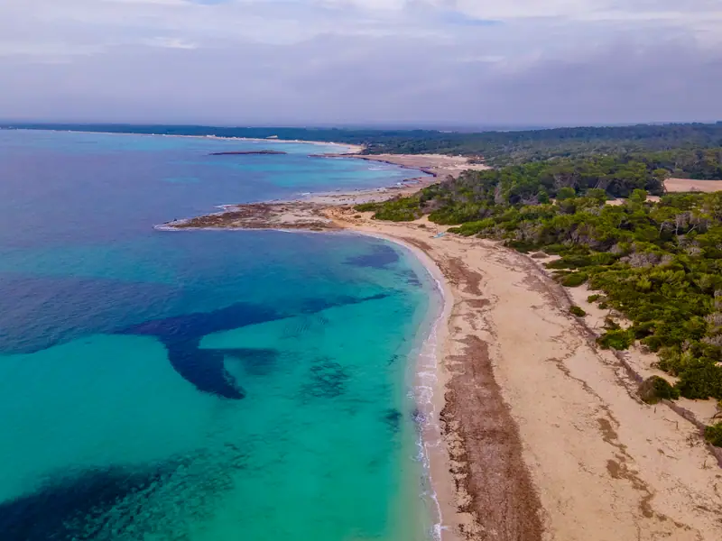 La longue plage de sable blanc d’Es Trenc et ses dunes