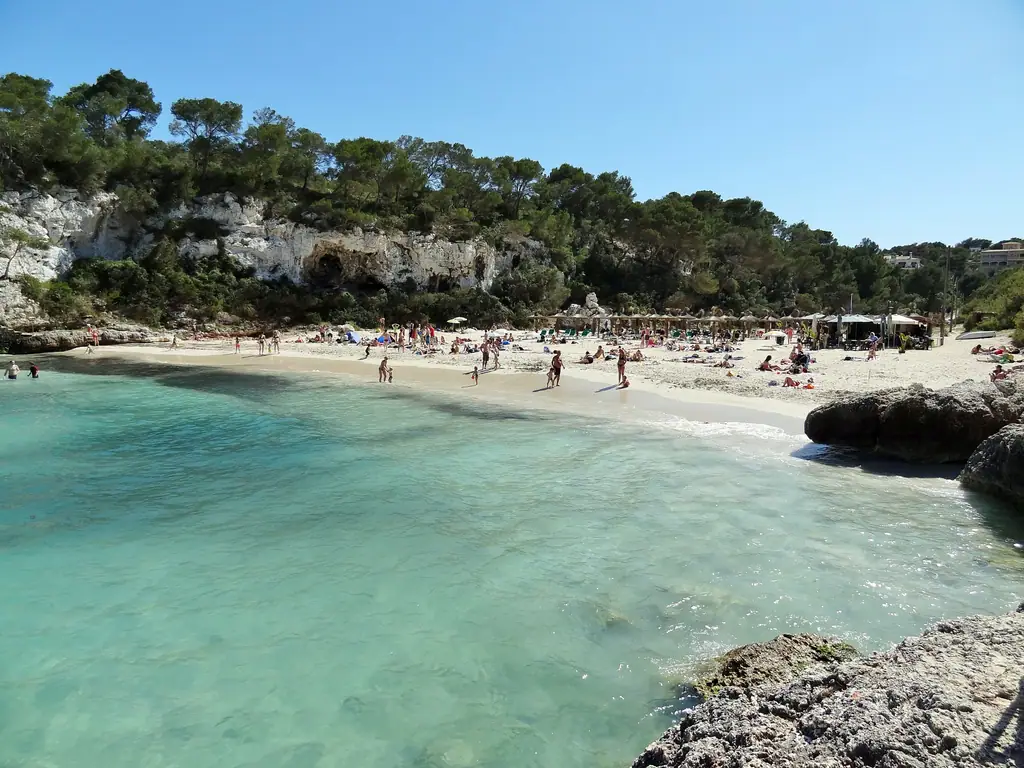 Eau turquoise et pins à Cala Llombards