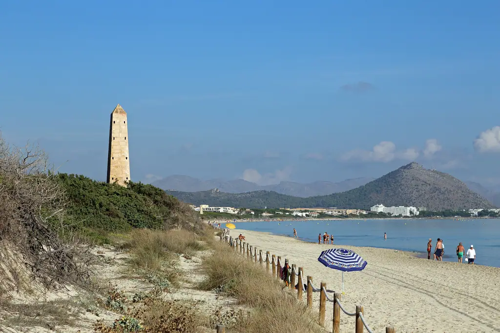 Dunes et pins en bord de mer à Playa de Muro