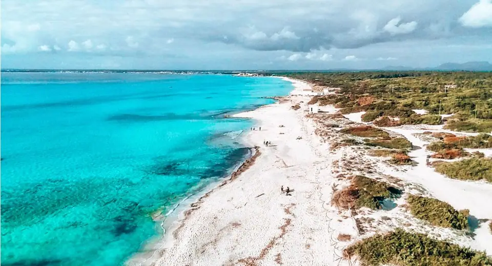 Vue aérienne de la plage d'Es Trenc montrant l'eau turquoise et les banquettes naturelles de Posidonia sur le sable, illustrant l'aspect sauvage du parc naturel.