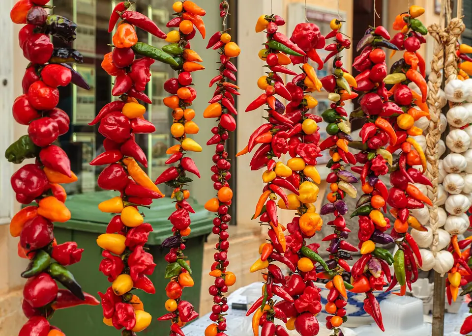Photo : Friedrich Haag, CC BY-SA 4.0, via Wikimedia Commons Chapelets de piments rouges séchés sur un marché de Majorque