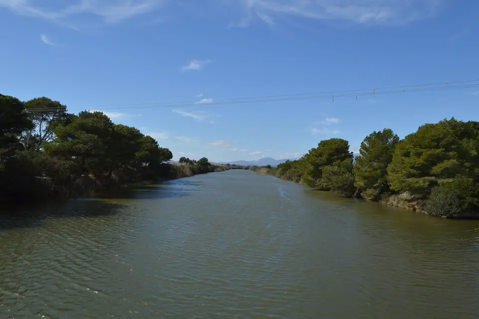 Photo : Miquel1004, CC BY-SA 4.0, via Wikimedia Commons Le grand canal du parc naturel de s'Albufera, près de sa Pobla